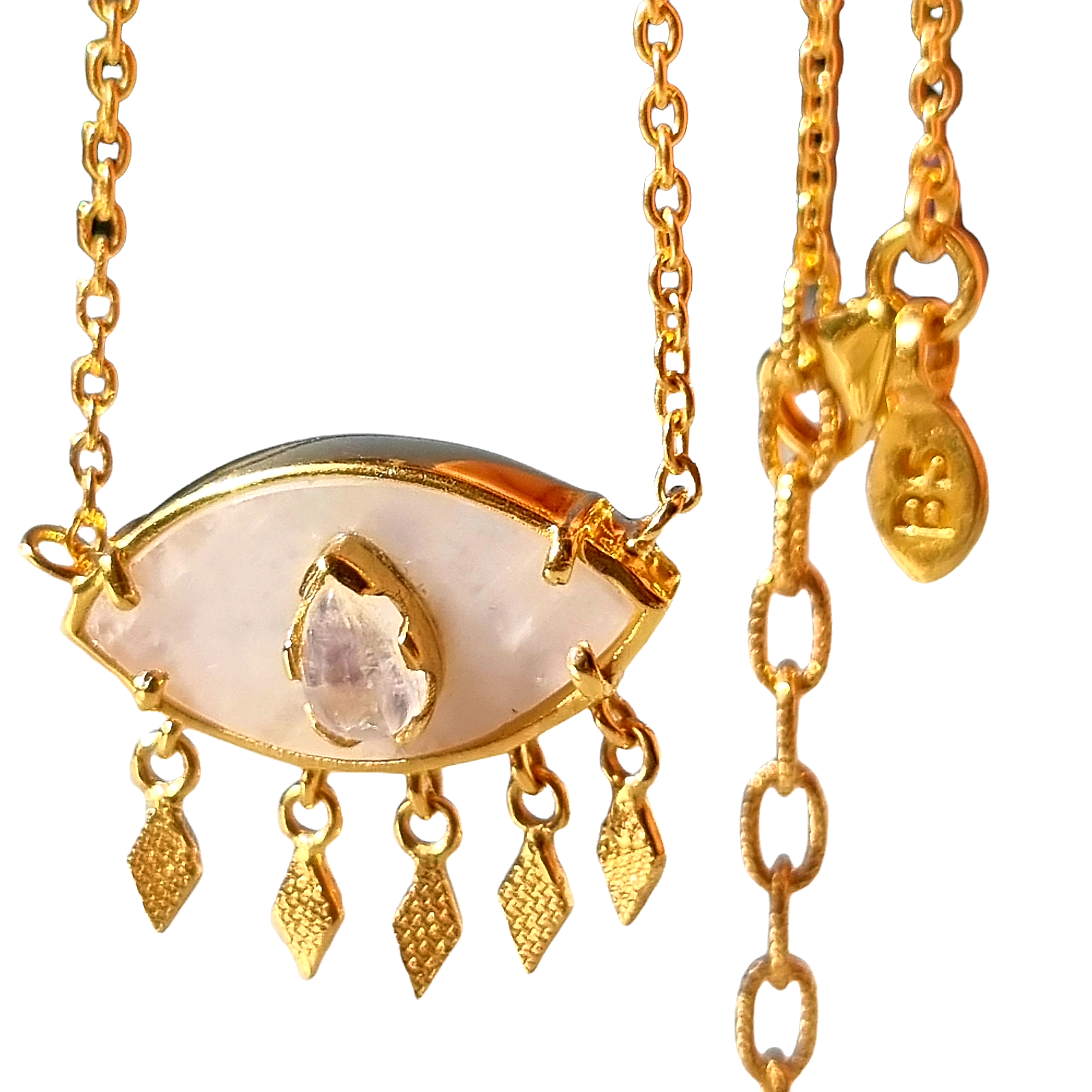 Pampilles labra blanche (1)